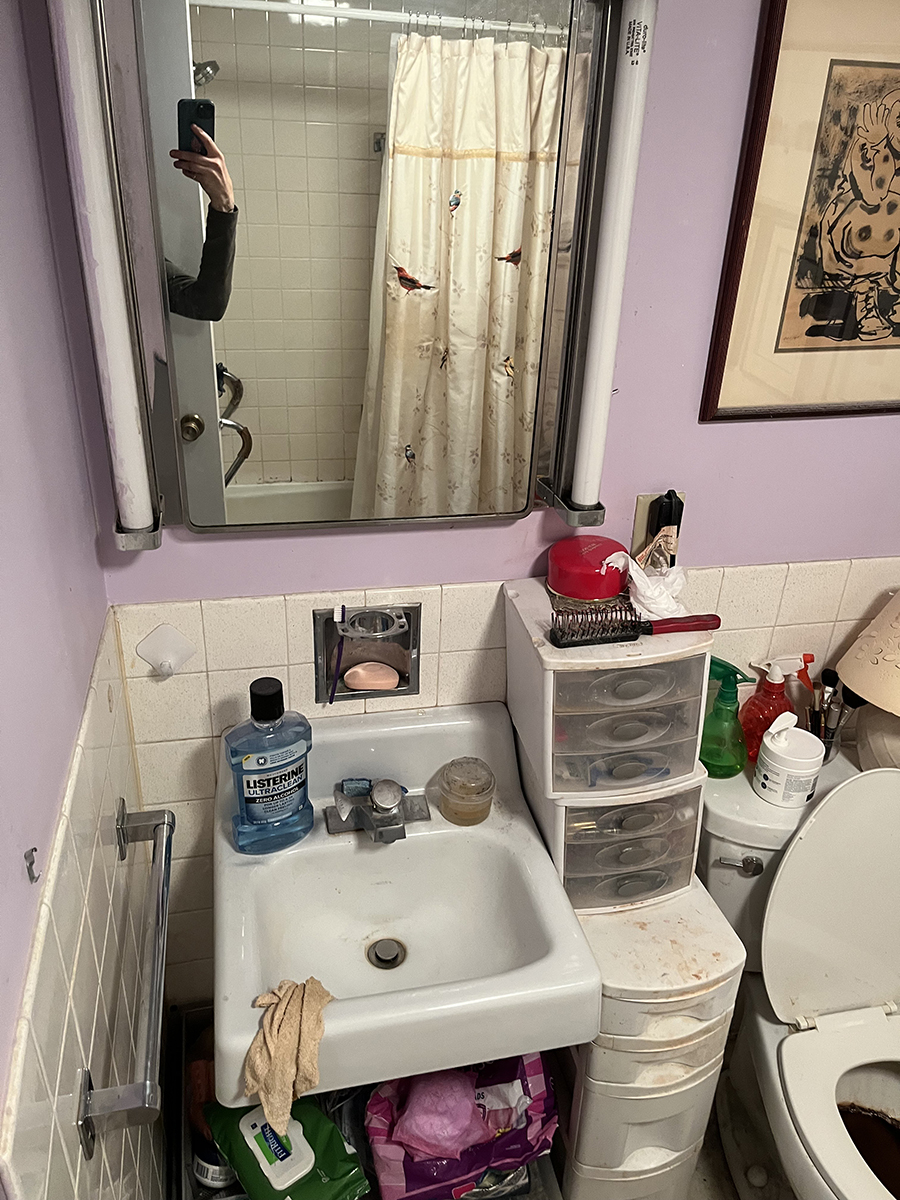 Scarlet Household Services House Cleaning Decluttering Pittsfield MA 7